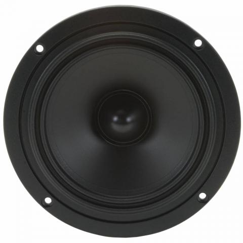 Tang Band W5-704D 5-1/4 / Woofer