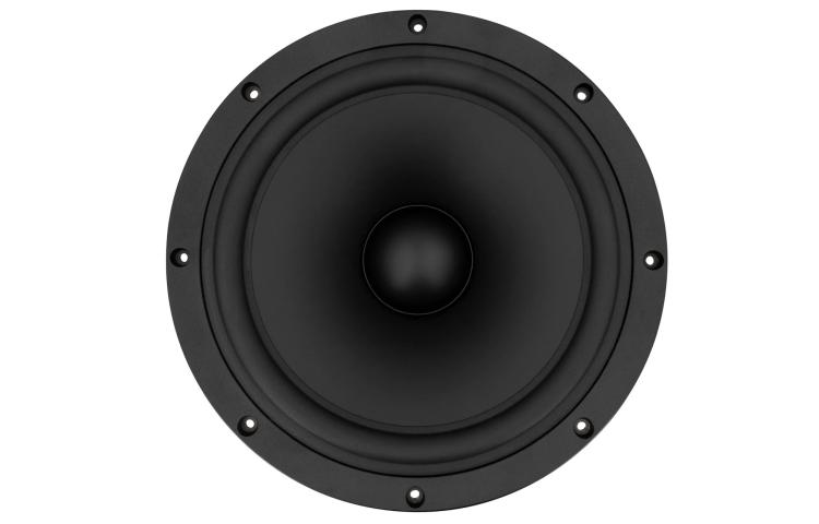 SB Acoustics SB34SWNRX-S75-6 / subwoofer 12\ (2)
