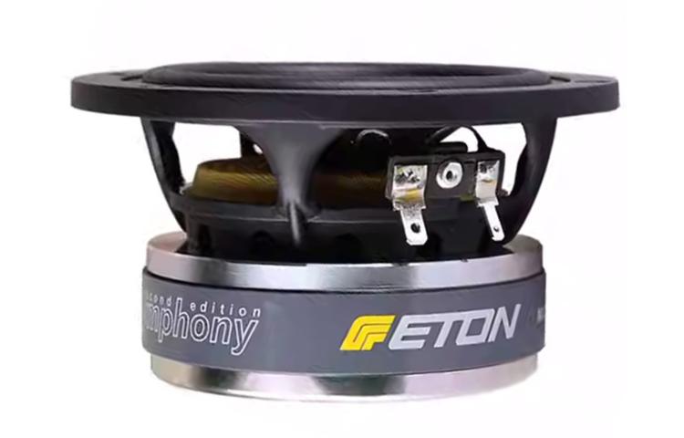 Głośnik nisko-średniotonowy ETON 4-212/C8/25 HEX - 4 cali - 8 ohm (3)