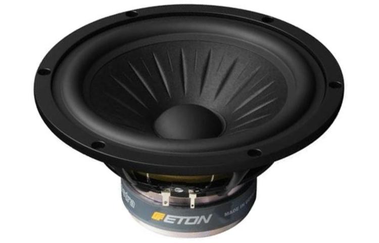 Głośnik nisko-średniotonowy ETON 8-612/C8/32 RP - 8 cali - 8 ohm (1)