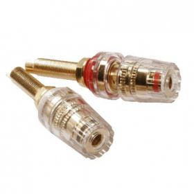 Jantzen Audio Binding Posts M8 520D Gold, pair