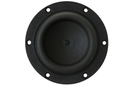 Tang Band W31876S / Subwoofer