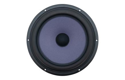 Obrazek 2 dla: SEAS A26RE4 (H141108) – Woofer 10" (26 cm), 8 Ω – Prestige Series